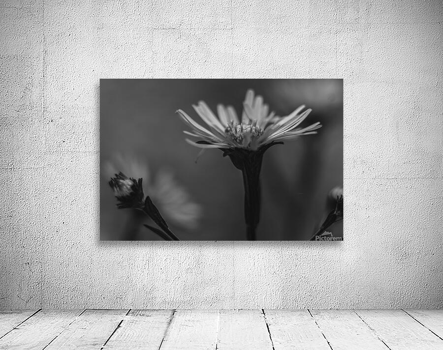 Wildflowers B&W Wall Preview