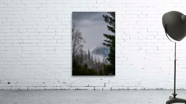 Best Friends Views Wall Preview