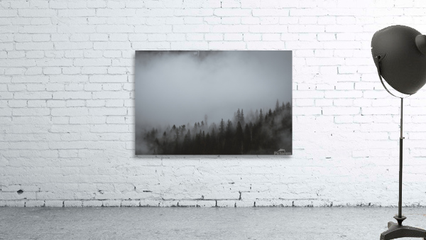 Foggy Forest Wall Preview