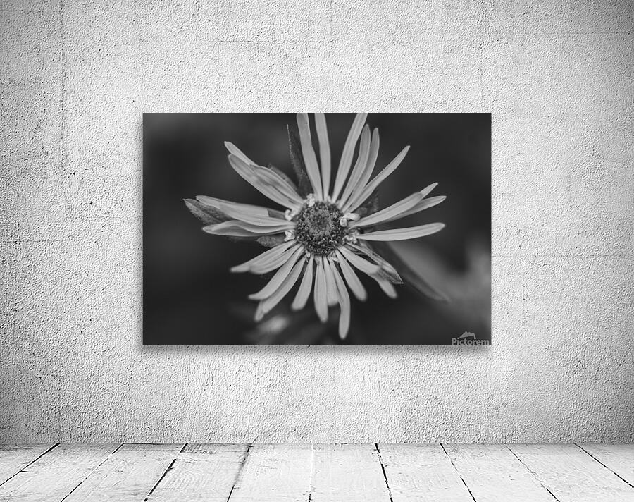 Wildflower B&W Wall Preview