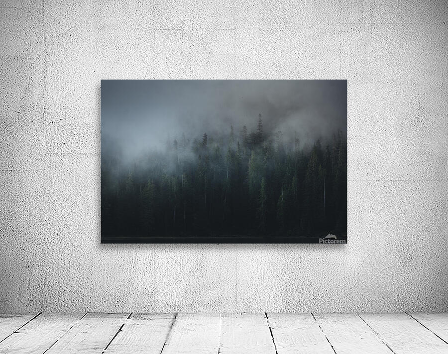 Misty Forest Wall Preview