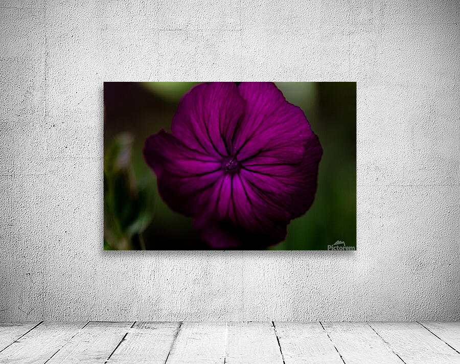 Floral Wall Preview