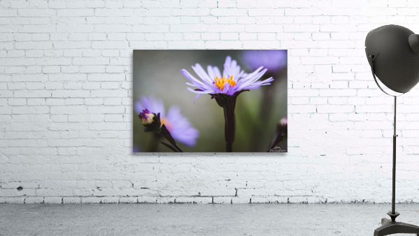 Purple Wildflowers Wall Preview