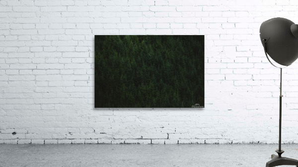 Tree tops Wall Preview