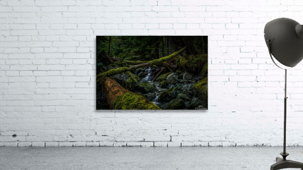 Creek bed Wall Preview