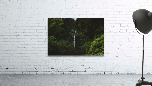 Waterfalls Wall Preview