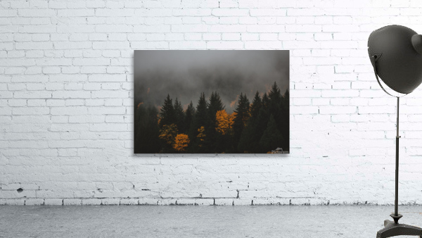 Fall Wall Preview