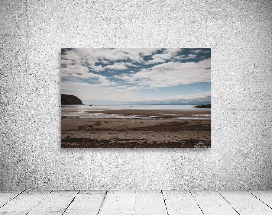 Low Tide Wall Preview