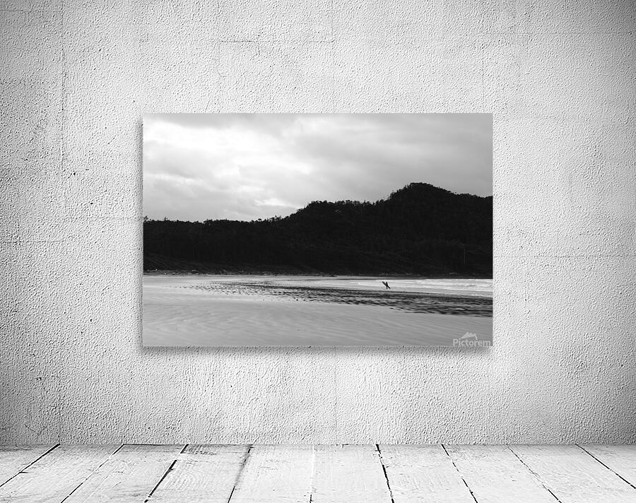 Surfs Up B&W Wall Preview