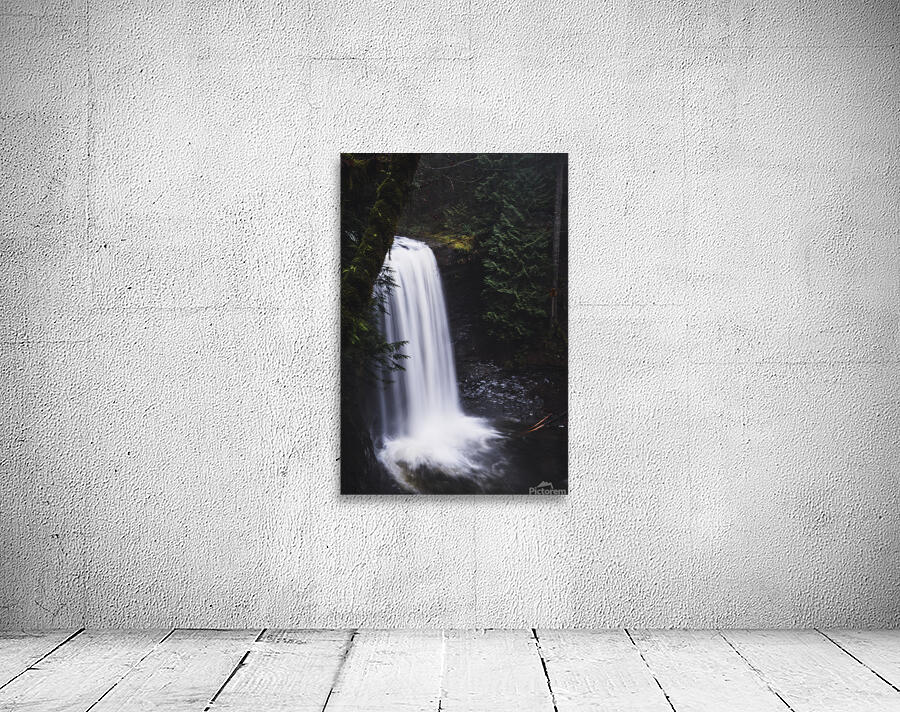 Ammonite Falls Wall Preview