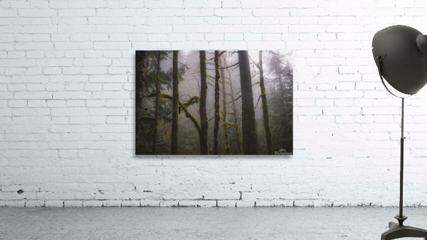 Breathe Wall Preview