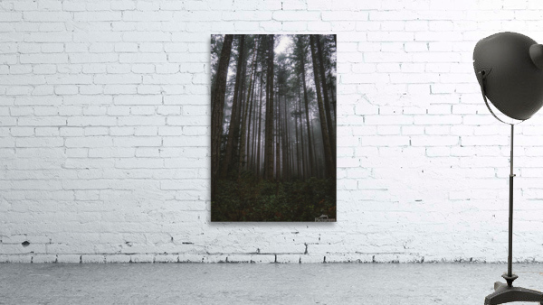 Mystery 2 Wall Preview