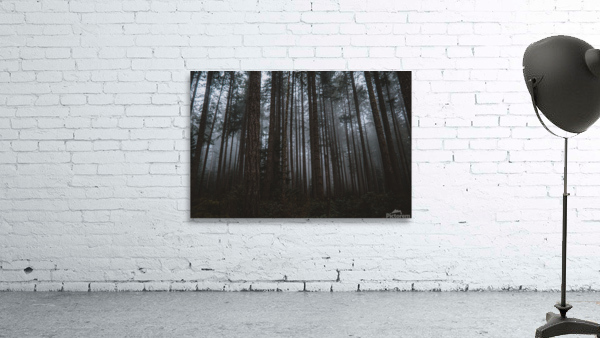 Mystery Wall Preview