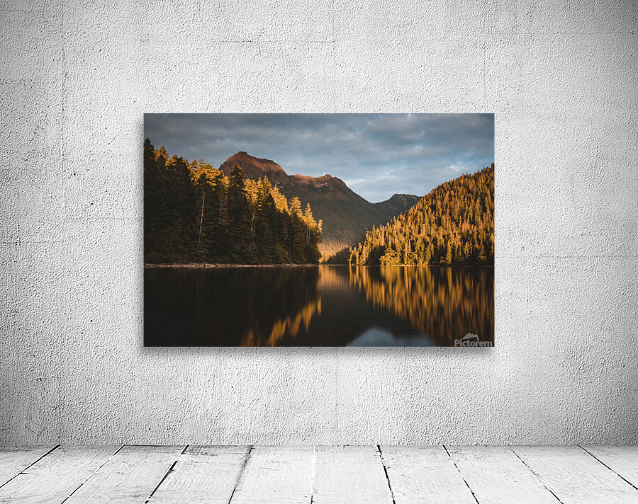 Schoen Evening Wall Preview