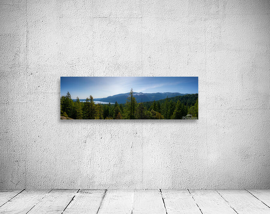What a View Wall Preview