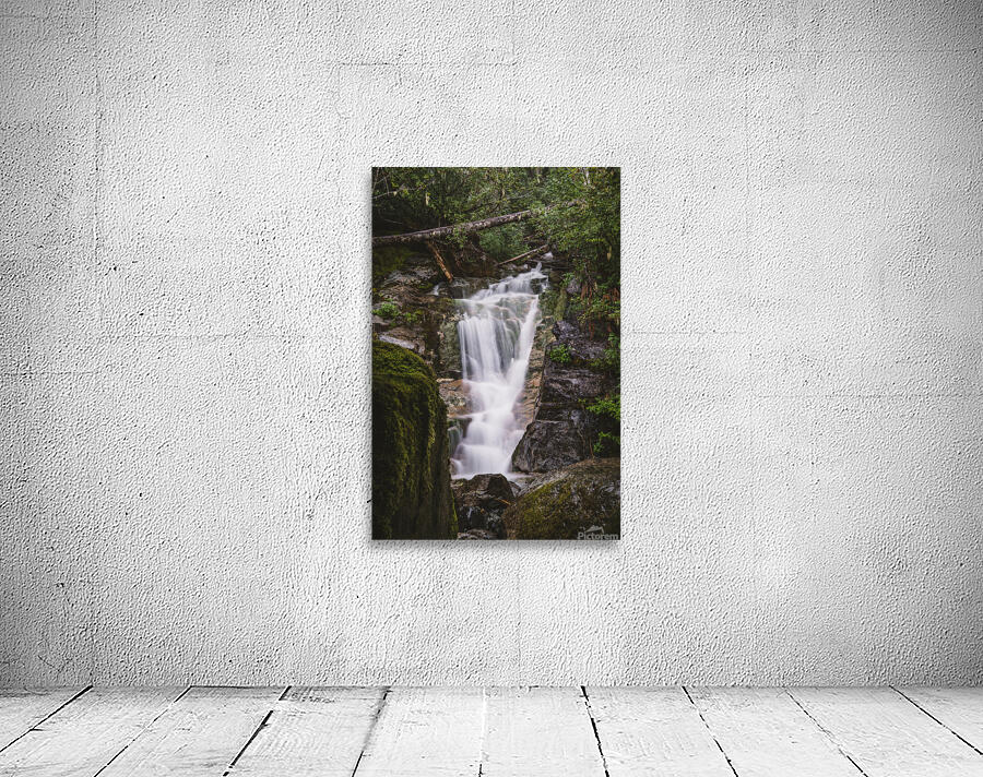 Hidden Falls Wall Preview