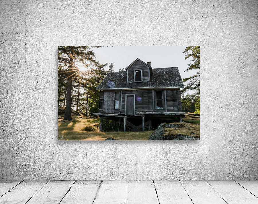 Homestead Wall Preview