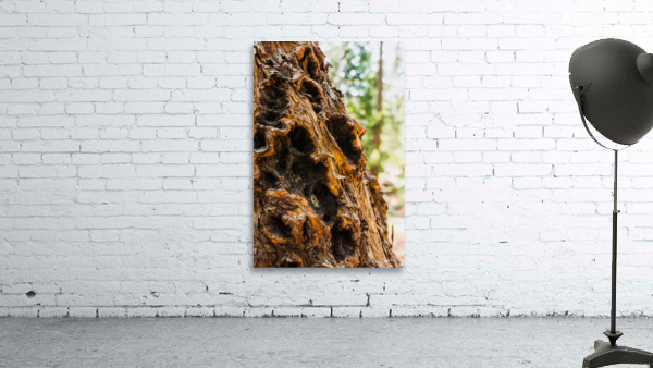 Bark Wall Preview