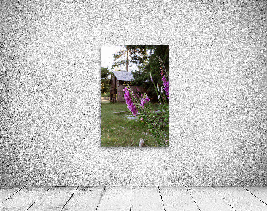 Foxglove Wall Preview