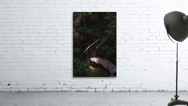 Rainforest Boardwalk Wall Preview