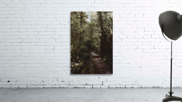 Boardwalk Wall Preview