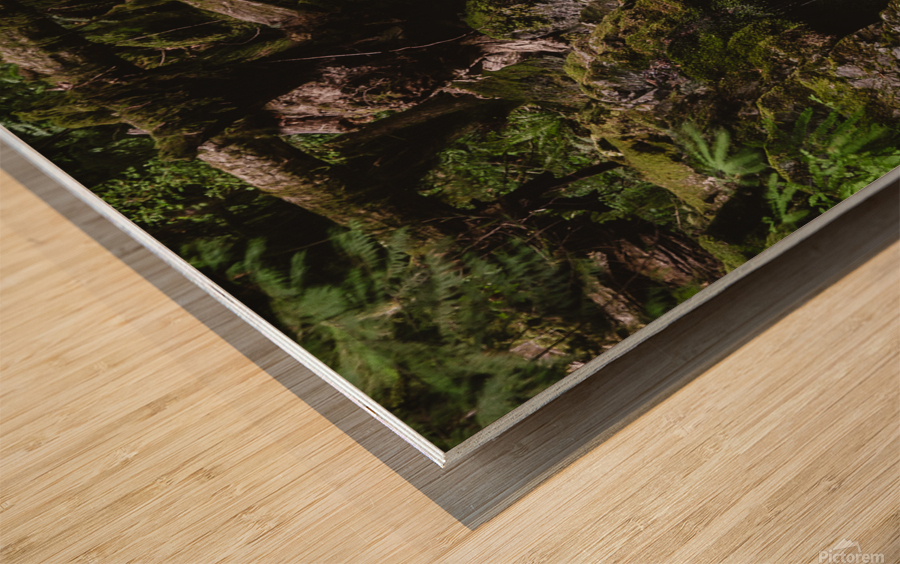 Go with the flow Wood print