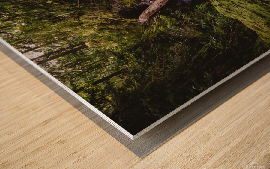Nile Creek Wood print