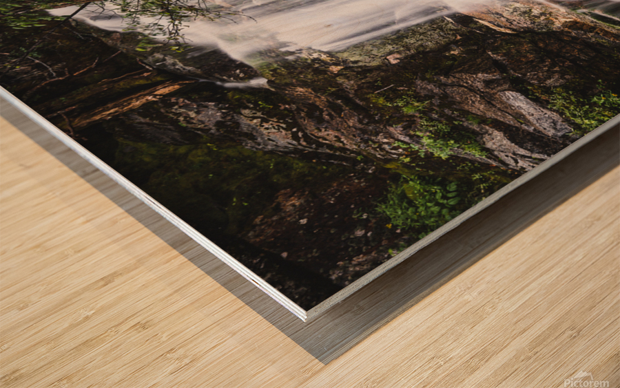Under the Bridge Wood print