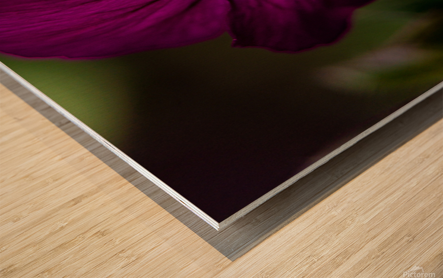 Floral Wood print