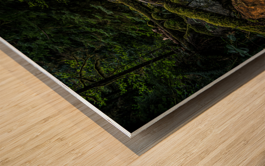 Creek bed Wood print