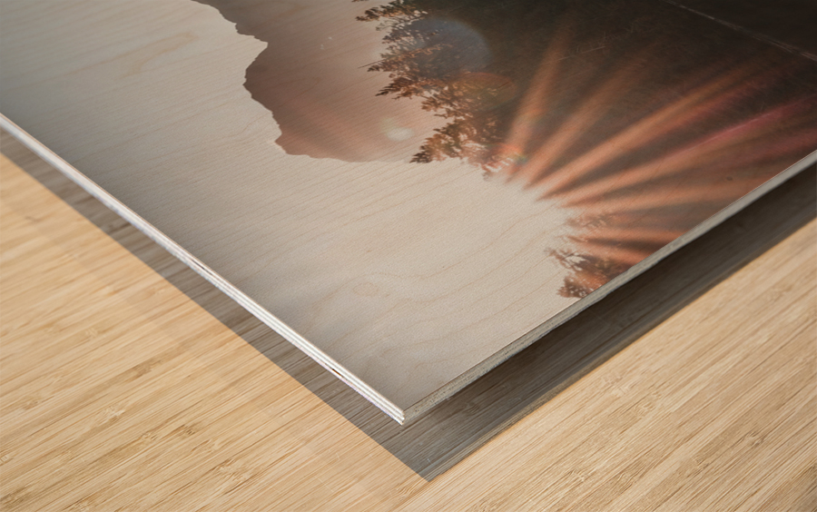 Morning Glow Wood print