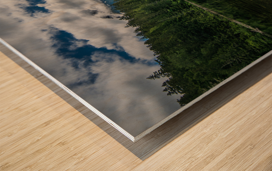 Reflections Wood print