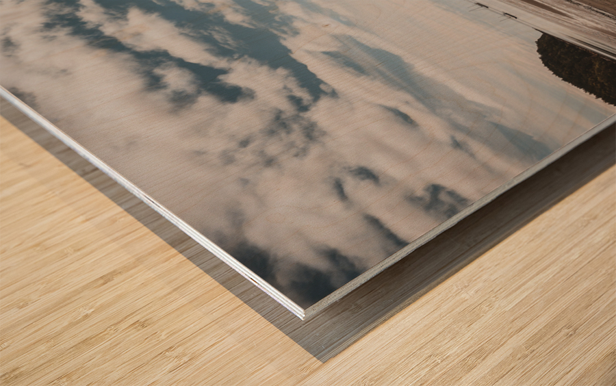 Low Tide Wood print