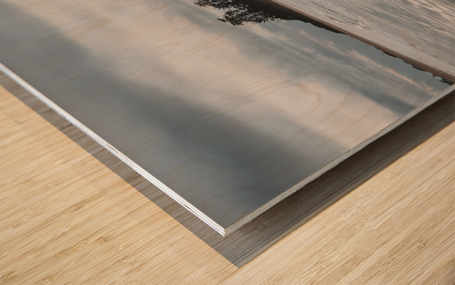 Fly Wood print