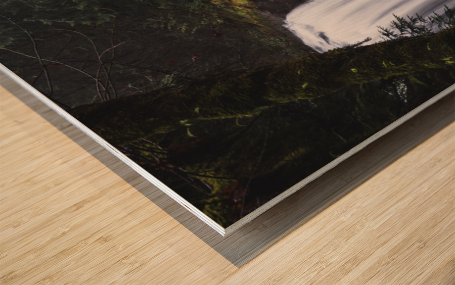 Ammonite Falls Wood print