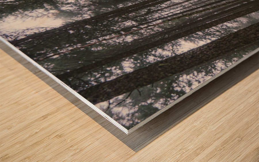Mystery 2 Wood print