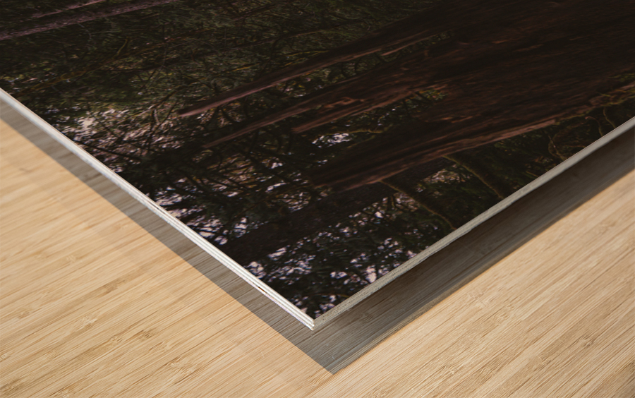 Path to the Forest Wood print