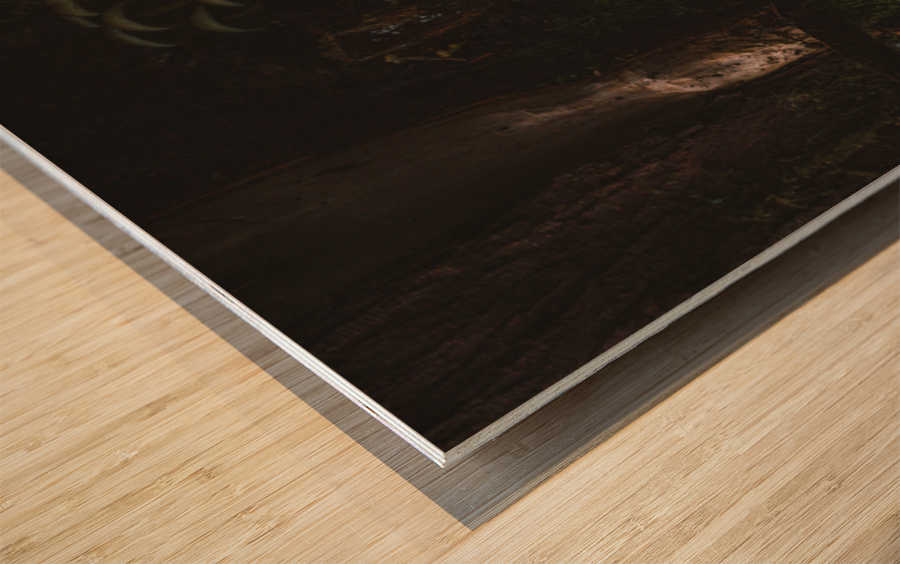 Pedestals Wood print