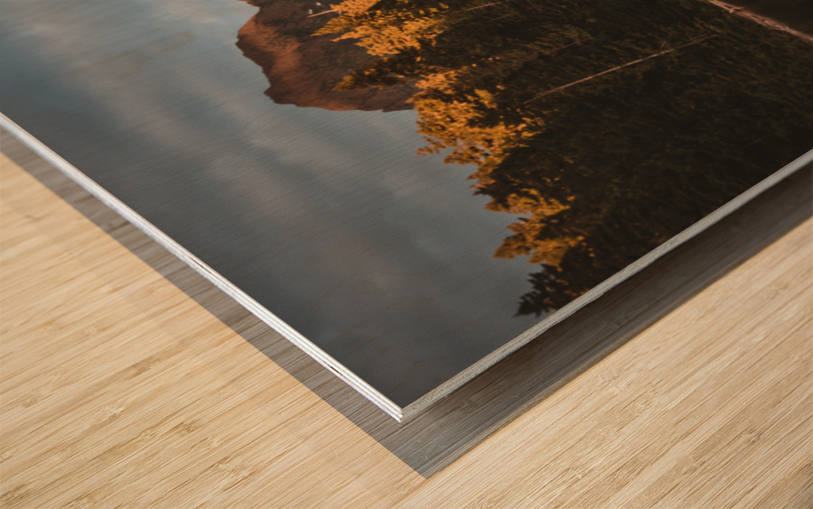 Schoen Evening Wood print