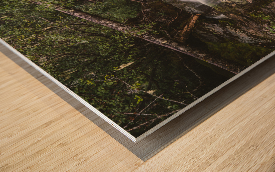 Hidden Falls Wood print