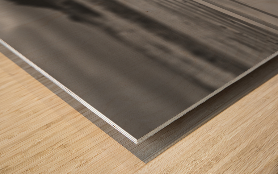 Beach Ripples B&W Wood print