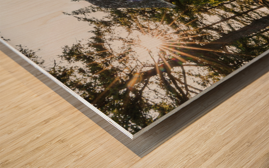 Homestead Wood print
