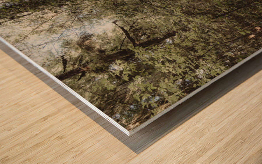 Boardwalk Wood print