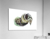 Abstract Spiral  Acrylic Print