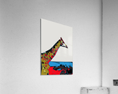 Lonely Giraffe  Acrylic Print