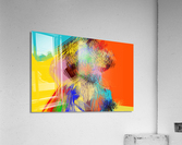 Abstract Silhouette  Acrylic Print