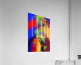 Dancer  Acrylic Print