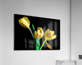 Abstract Flowers  Acrylic Print
