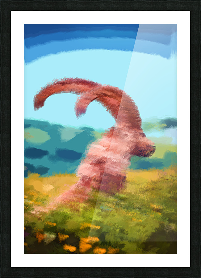 Goat Profile  Picture Frame print
