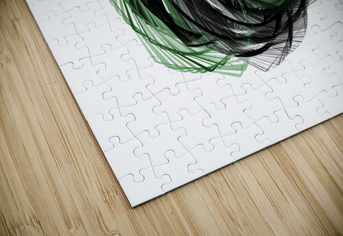 Abstract Spiral  PWA puzzle